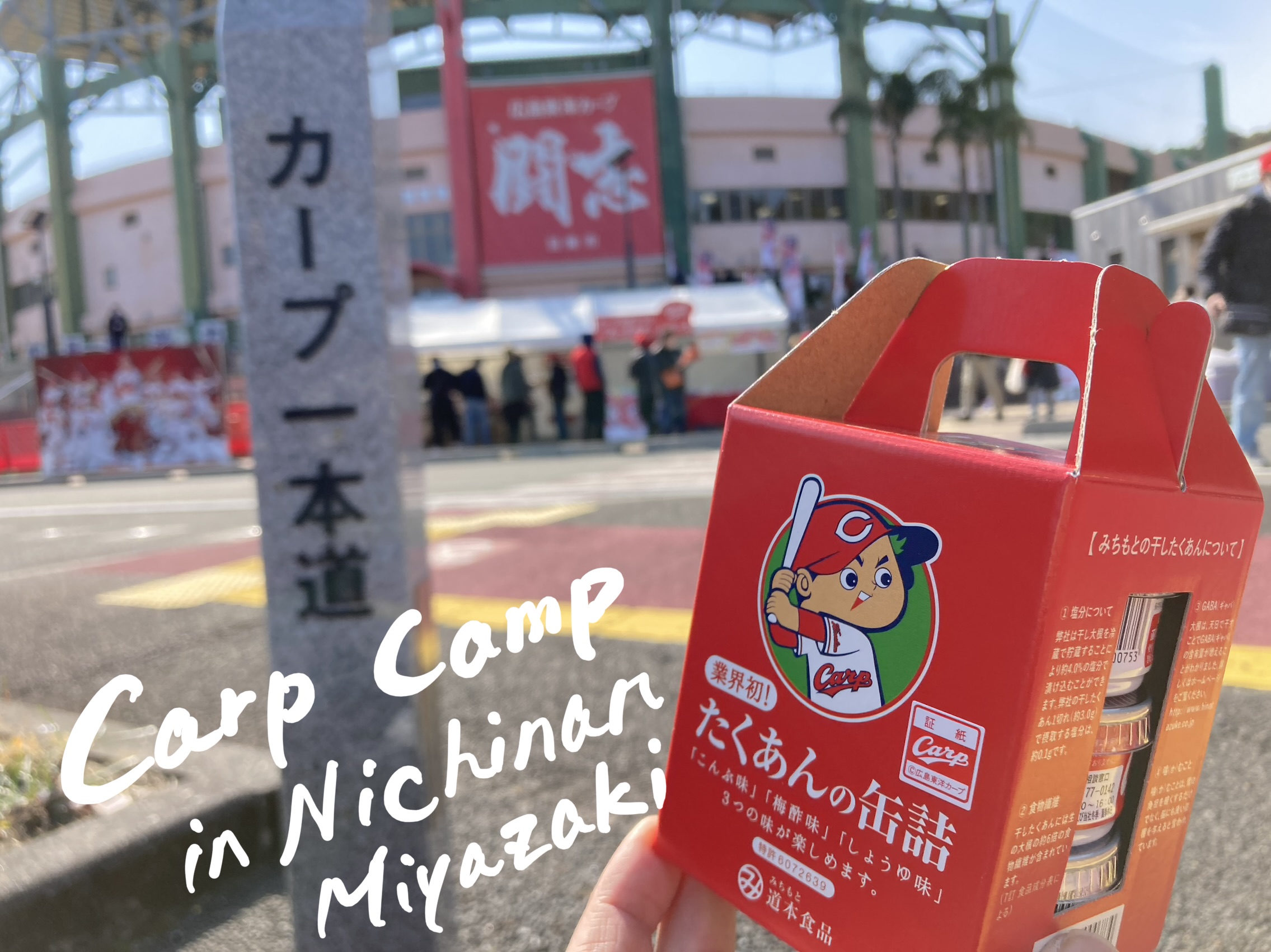 球団公認！他では買えない広島カープのたくあん缶 - 道本食品