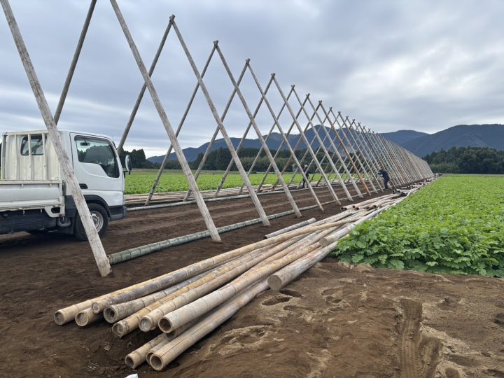 やぐらが建ち始めました！