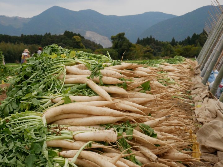 冬が始まります